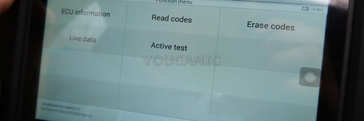 BMW TMFA & TMBF Door Module Diagnosis