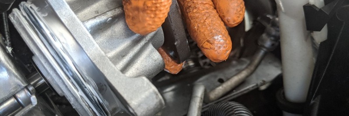 Ford Focus Water Pump Replacement