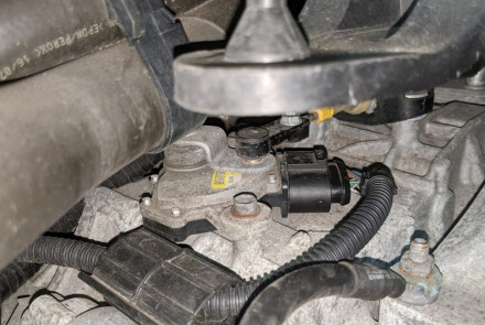 Volkswagen Transmission Range Sensor | F125