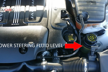 Jaguar Check & Add Power Steering Fluid