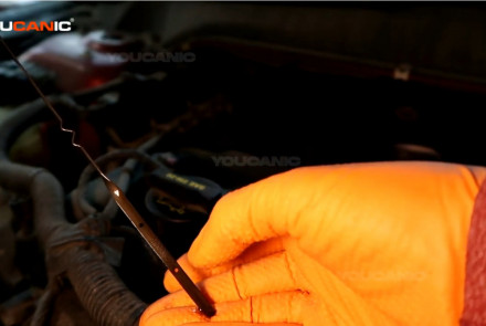 Ford Fusion Check Level & Add Engine Oil