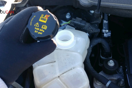 Ford Edge Add Engine Coolant